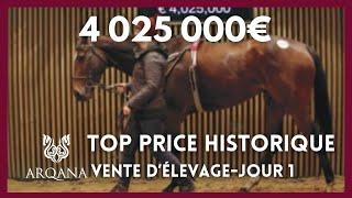 Top Price J1 - N°1 : 4 025 000E - PLACE DU CARROUSEL - Vente Arqana d'Elevage 2023