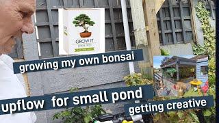 diy upflow filter added to the small pond  growing my own bonsai and getting creative #koi #bonsai