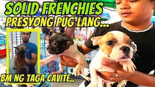 MGA NAG-AABANG SA MURANG FRENCH BULLDOG, ETO NA..