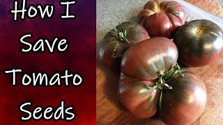 Saving Tomato Seeds for Next Year
