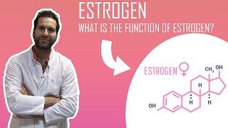 FUNCTION OF ESTROGEN??? - Female Hormones