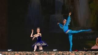 Адажио Синей птицы и Флорины из балета Спящая красавица