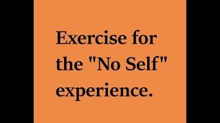 Exercise for the "No Self" experience.