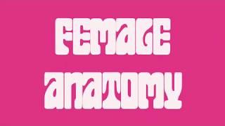 Episode 3: Female Anatomy