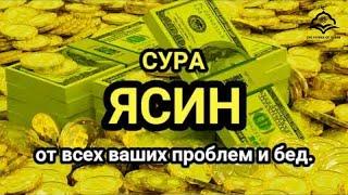   Сура "Ясин, "Утром и Вечером_سورة يس Очень сложные проблемы будут решены