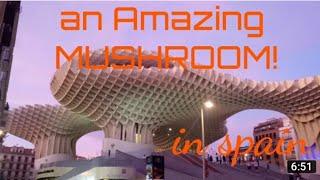 Seville, Spain  Walk‍️ metropol parasol- Seville walking tour