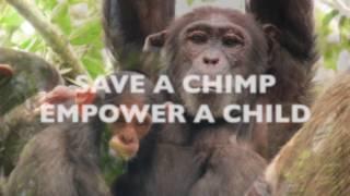 Conserving Chimpanzees and Natural Forest in Rural Uganda