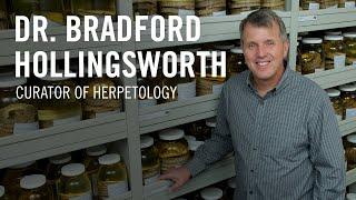 Meet Curator of Herpetology Dr. Bradford Hollingsworth