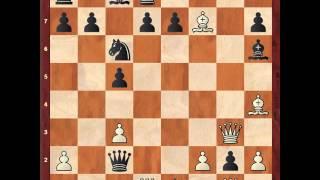 Magnus Carlsen vs Nils Grandelius B29 SIcilian Nimzowitsch Variation Norway Chess 2016 3 1-0