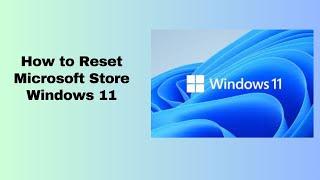 How to Reset Microsoft Store Windows 11