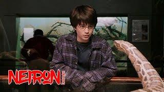 Гарри Поттер освободил змею в зоопарке. "Гарри Поттер и философский камень" — 2001