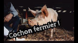 Le cochon fermier - Gueuleton