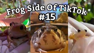 Frog Side Of TikTok #15