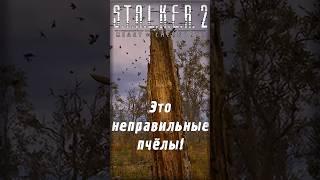 Это неправильные пчёлы! | S.T.A.L.K.E.R. 2