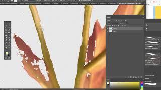 The Mixer Brush in Photoshop CC