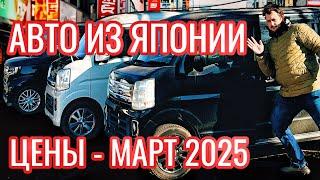 ЦЕНЫ НА САМЫЕ ПОПУЛЯРНЫЕ АВТО ИЗ ЯПОНИИ  HONDA FIT / N-BOX / SUZUKI EVERY - МАРТ 2025!