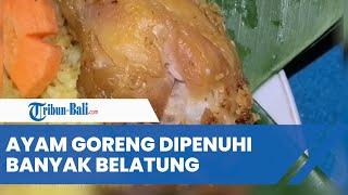 Viral Video Ayam Goreng untuk Suguhan Acara Adat Dipenuhi Banyak Belatung, Netizen Dibuat Merinding