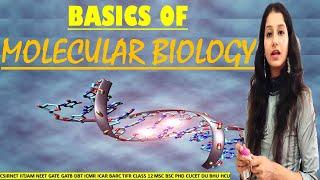 Basics of Molecular Biology I CSIRNET I IITJAM I NEET I CLASS 12 I DBT I ICAR I ICMR I BSC I MSC I