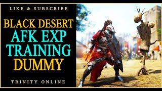 Black Desert AFK Dummy Training Guide BDO scarecrow training for beginners Trinity Online