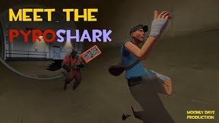 TF2 | Meet The PyroShark