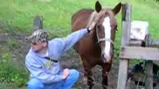 Horse Bite