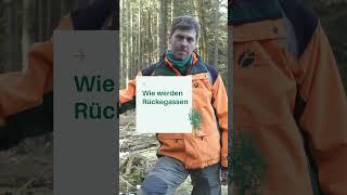 Was sind Rückegassen im Wald? | Warum sind sie nötig?