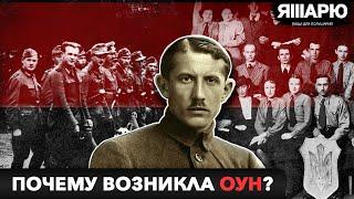 Почему возникла ОУН и кто ее финансировал?