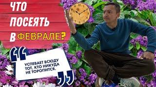 ЧТО СЕЯТЬ В ФЕВРАЛЕ? НЕ ТОРОПИМСЯ С ПОСЕВОМ! Только проверенные растения! 2024 год