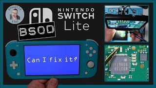 Switch Lite with BLUE SCREEN OF DEATH | Can I FIX It?
