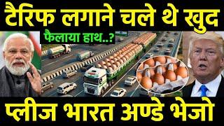 अमेरिका को भारत से अंडे चाहिए? India supplied 15000 shipments of eggs to America to control market?