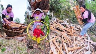 Jonson & mom working in the Jungle || Shephards life Nepal@Manjitamrnati @Sanjipjina