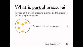 What is partial pressure?