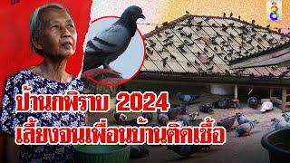 ป้านกพิราบ 2024 เลี้ยงจนเพื่อนบ้านป่วยติดเชื้อ นอนกับขี้นกยันฉันเลี้ยงในบ้าน| ลุยชนข่าว | 11 ก.ย. 67