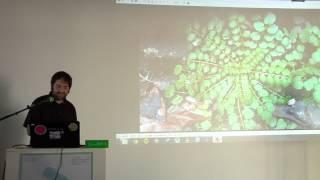 Ed Key: Flora and fauna of South Cambridgeshire (A MAZE. Indie Connect 2013, Berlin)