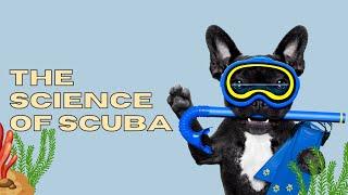 The Science of Scuba Diving