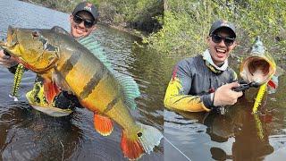 TUCUNARÉ AÇU GIGANTE! BARCELOS RIO ARACÁ EP2