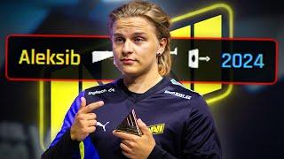 Aleksib - The Underdog Champion - Best Plays 2024