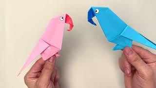 Origami Papağan | Kağıttan Kuş Yapımı | Kağıttan Kuş Nasıl Yapılır