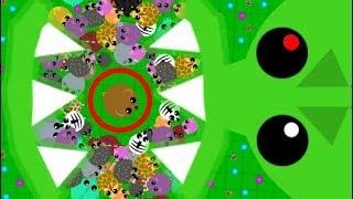 MOPE.IO ONE KILL CHALLENGE *99.9% FAIL* NEW UPDATED MOPE CHALLENGE FUNNY MOMENTS (Mope.io Gameplay)