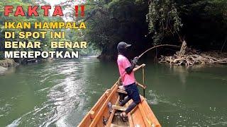 Troublesome ‼ ️CASTING FISHING BIG HAMPALA FISH IN SIBAU RIVER - KAPUAS HULU