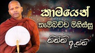 කාමයෙන් තැම්බිච්ච මිනිස්සු |  Niwathapa Thero | Niwana Soya #niwathapathero #trending #bana