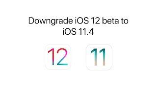 How to Downgrade iOS 12 beta to iOS 11.4.1