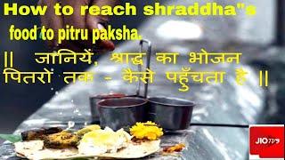 how to reach Shraddha's food to pitru paksha