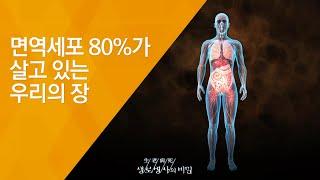 면역세포 80%가 살고 있는 우리의 장 - (20130209_448회 방송)_장 속 유익균이 건강을 지킨다