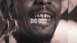 [FREE] Sauce Walka Type Beat - "Big Dog"