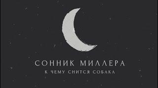 К чему снится собака: толкование сна. Сонник Миллера