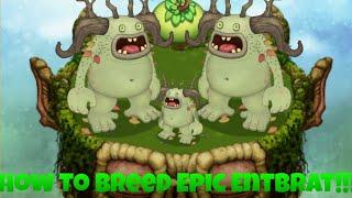 How To Breed Epic Entbrat!!! [My Singing Monsters]