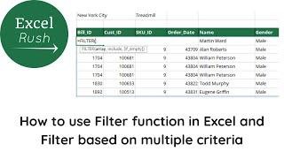 How to use Filter function in Excel and Filter data based on 1 or 2 or more criteria