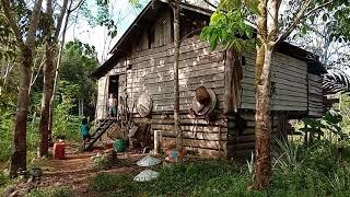 #Langkau Uma# suku Dayak di Pedalaman Kalimantan