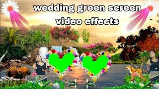 wedding green screen effects background video - project - 11